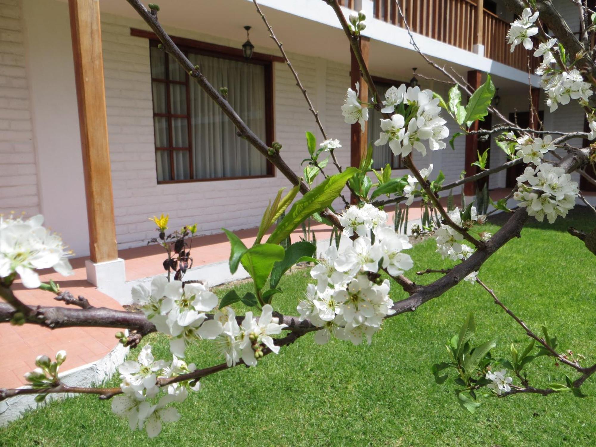 Hotel La Quinta San Andres Ibarra Exterior foto