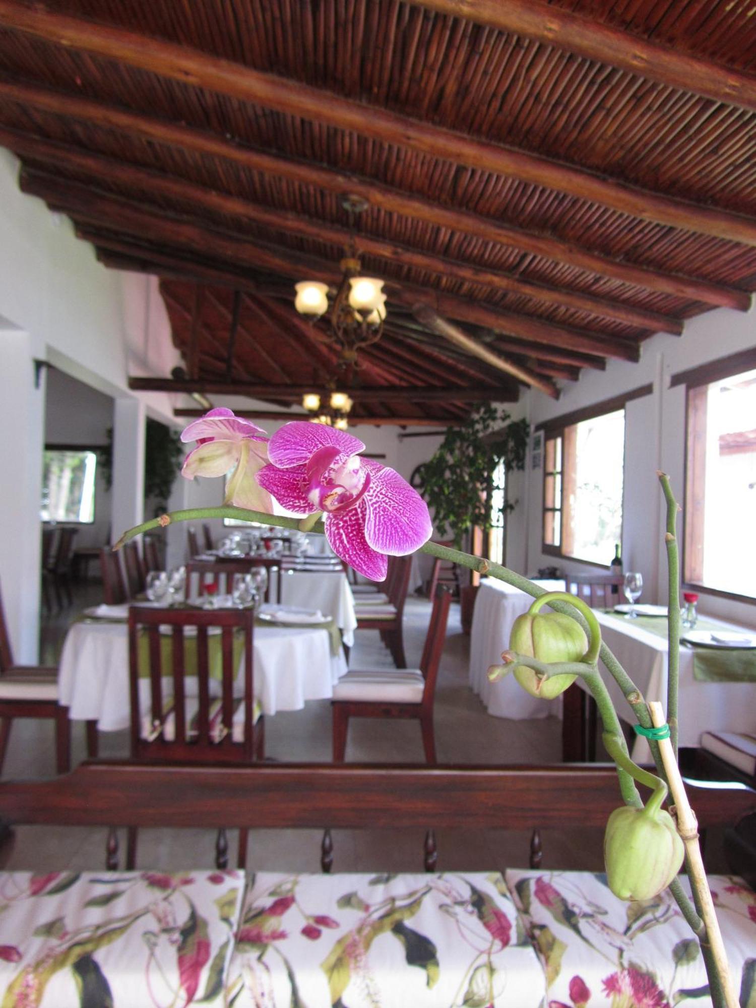 Hotel La Quinta San Andres Ibarra Exterior foto